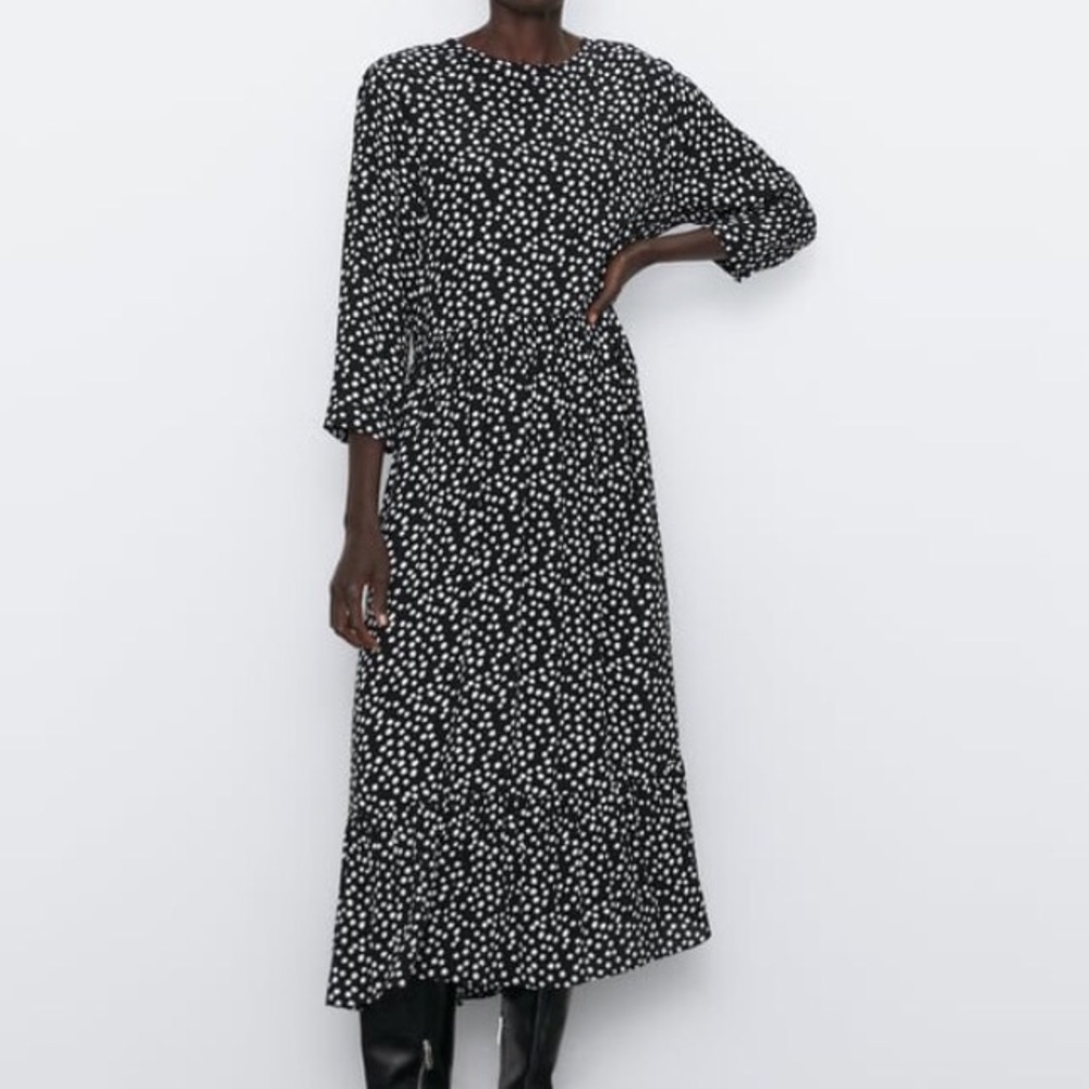 Zara Polka Dot Dress